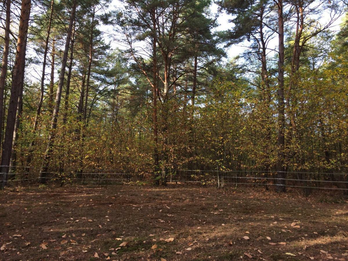 Chambre A La Campagne Chaumont-sur-Tharonne Bagian luar foto